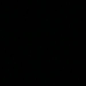 Meet your Posher, Kourtney